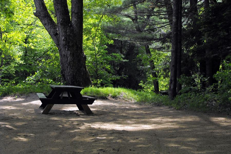 330 Newman Drew Road