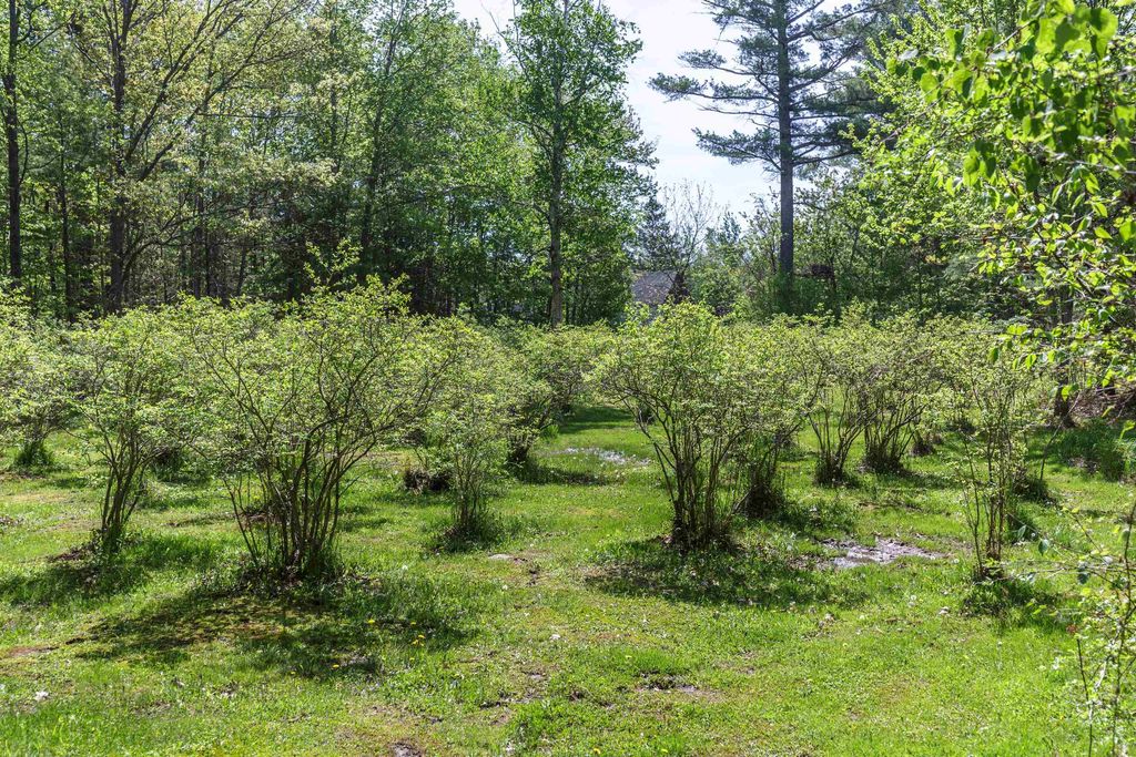Photo of 49 Moss Road, Hopkinton, NH 03229 (MLS # 5089836)