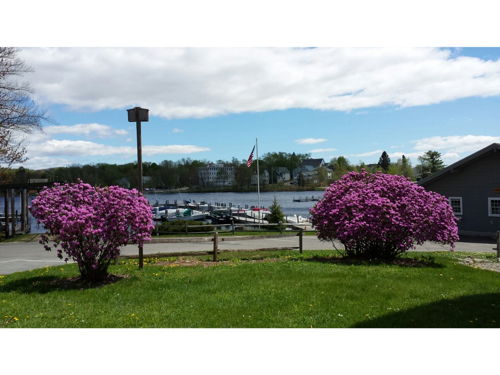 35 Bay - Slip #46 Street