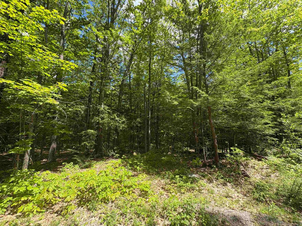 Photo of Craig Road #003, Antrim, NH 03440 (MLS # 5046605)