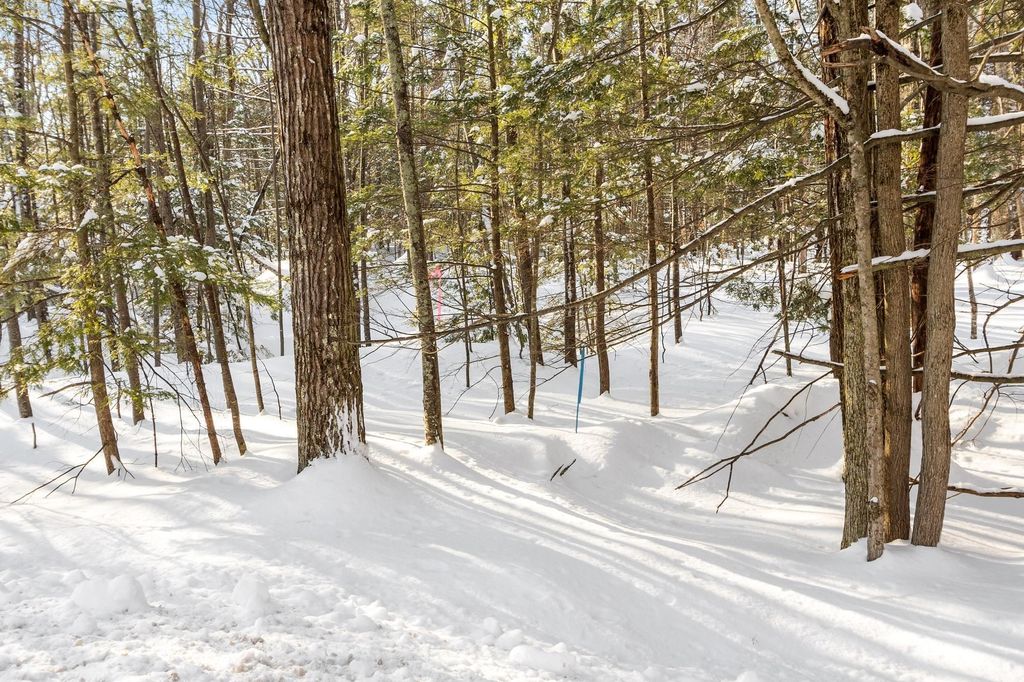 Photo of 3 Kendall Hill Road #5-56-3, Mont Vernon, NH 03057 (MLS # 5075357)