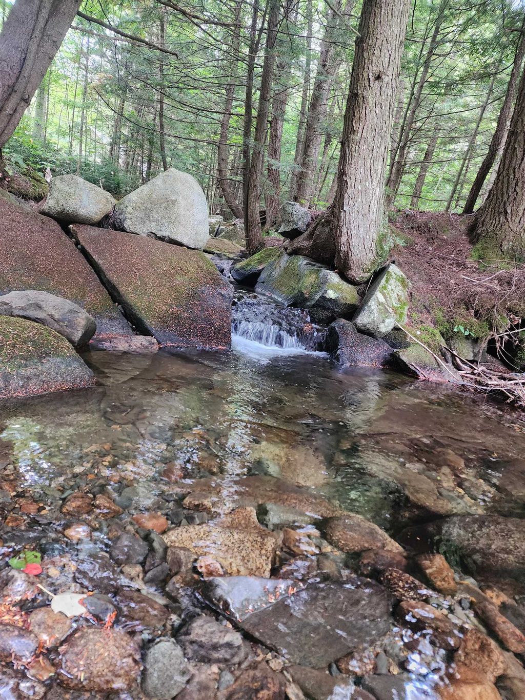 Photo of 00 Piermont Heights Lot 24 Road, Piermont, NH 03779 (MLS # 5083365)