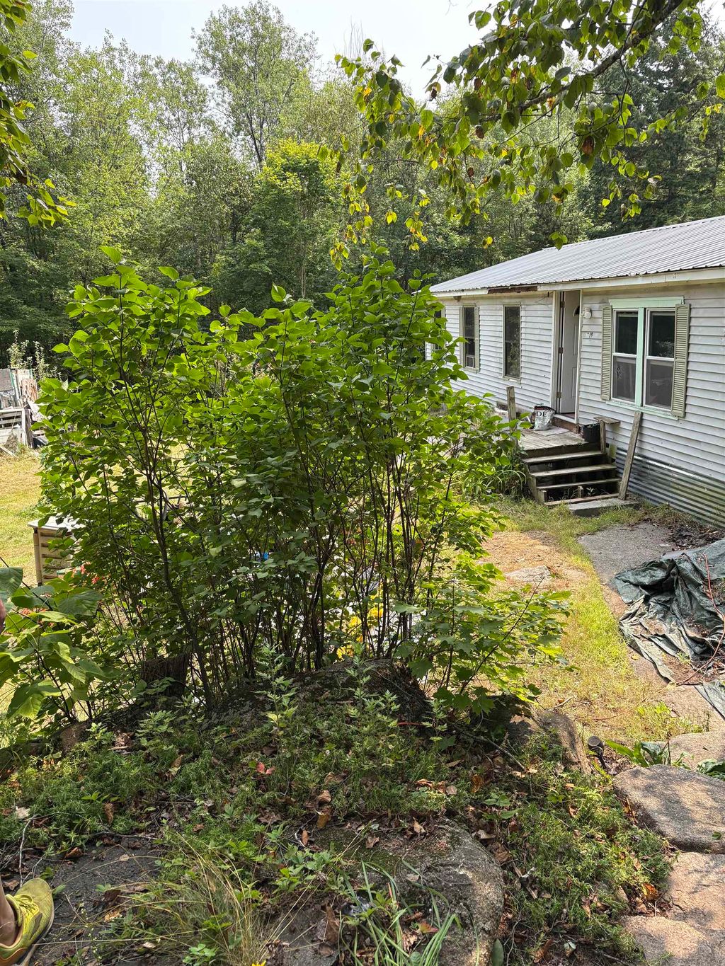 Photo of 19 Easy Avenue, Albany, NH 03818 (MLS # 5056874)