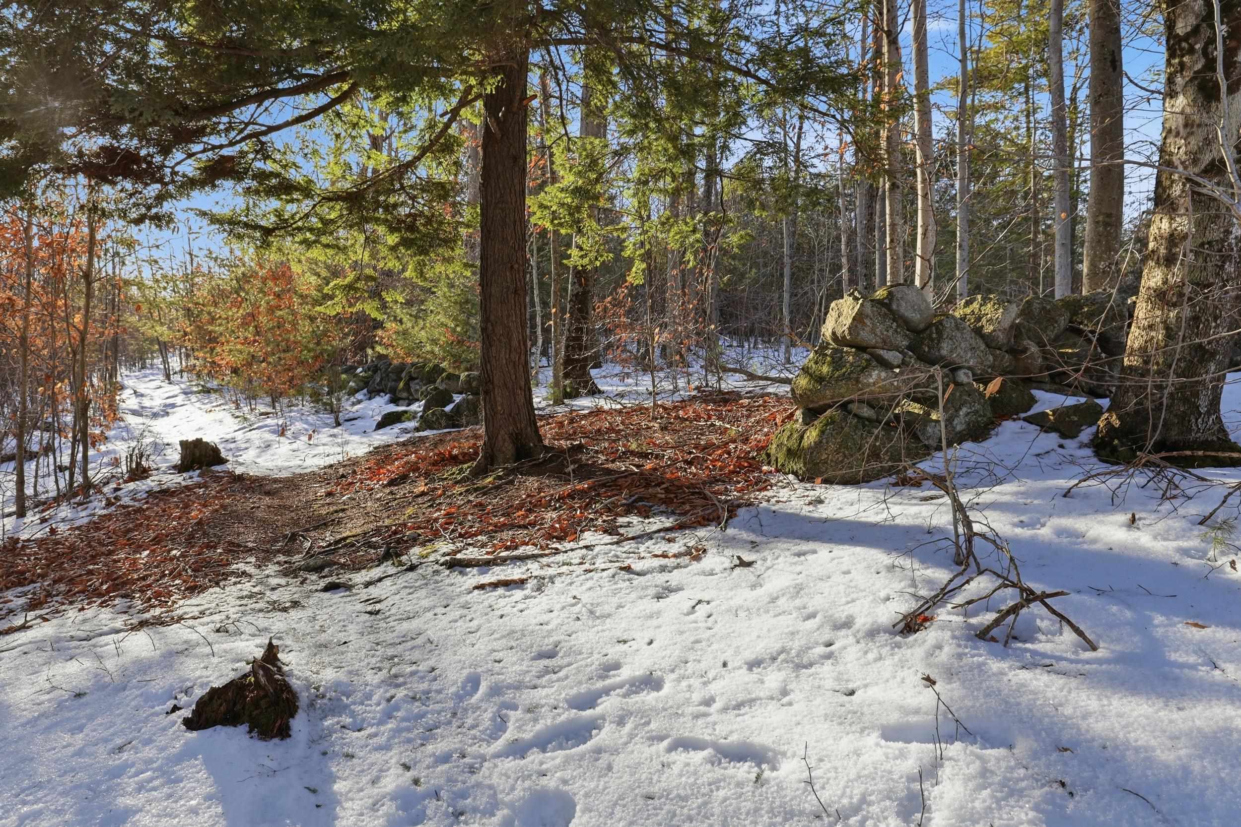 Tax Map5B Lot97 NH Route 114 97