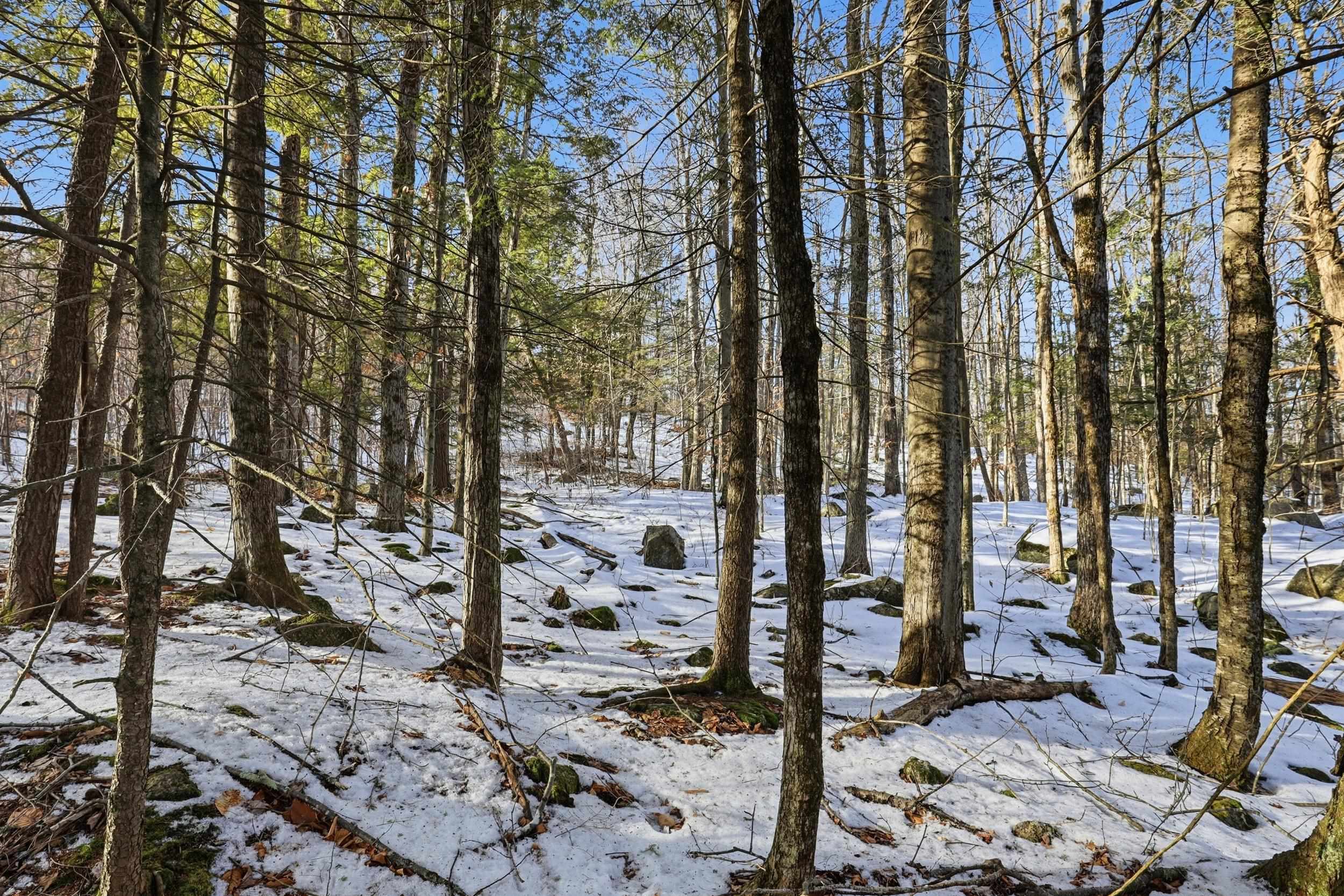 Tax Map5B Lot97 NH Route 114 97