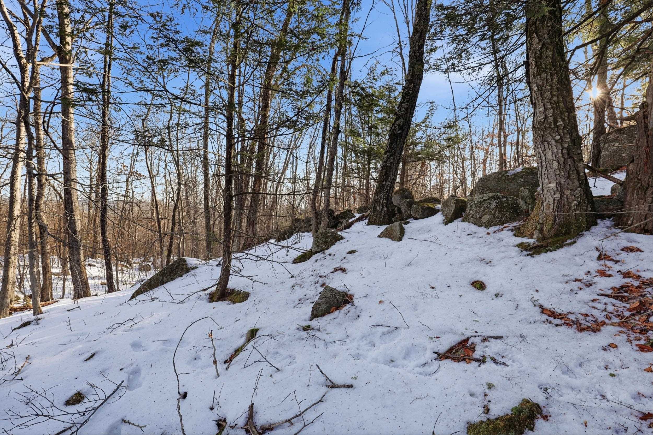 Tax Map5B Lot97 NH Route 114 97