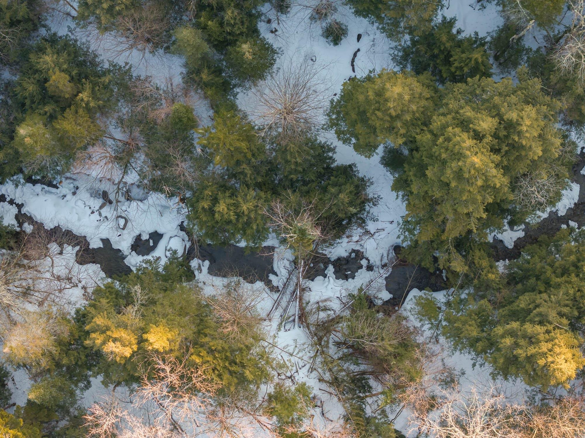 Wolcott, Vermont 05680, United States, ,Land,Active,63284