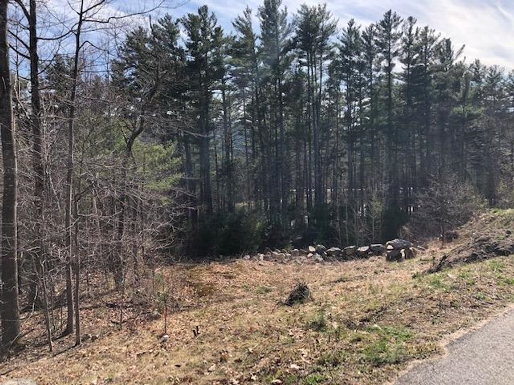 Photo of 3 Beechwoods Drive #3, Bartlett, NH 03845 (MLS # 5067817)