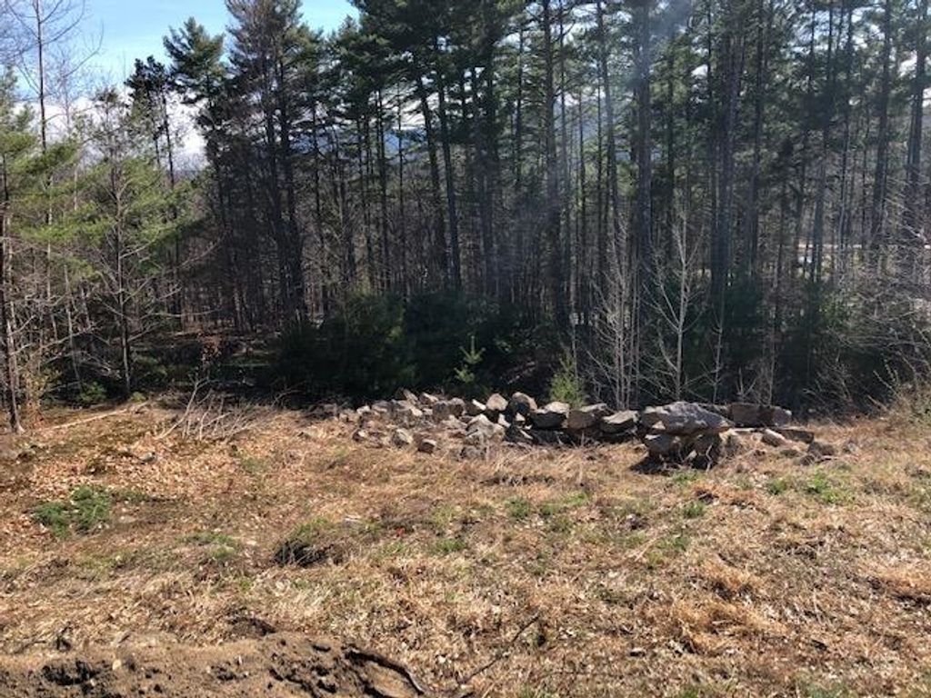 Photo of 3 Beechwoods Drive #3, Bartlett, NH 03845 (MLS # 5067817)