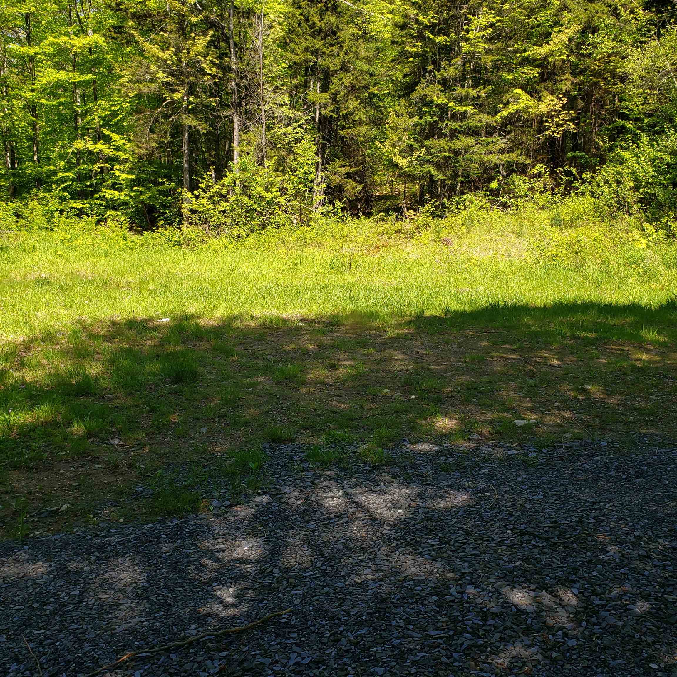 00 Beaver Meadow Road
