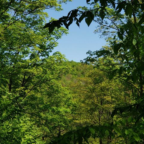 00 Beaver Meadow Road Roxbury VT 05669