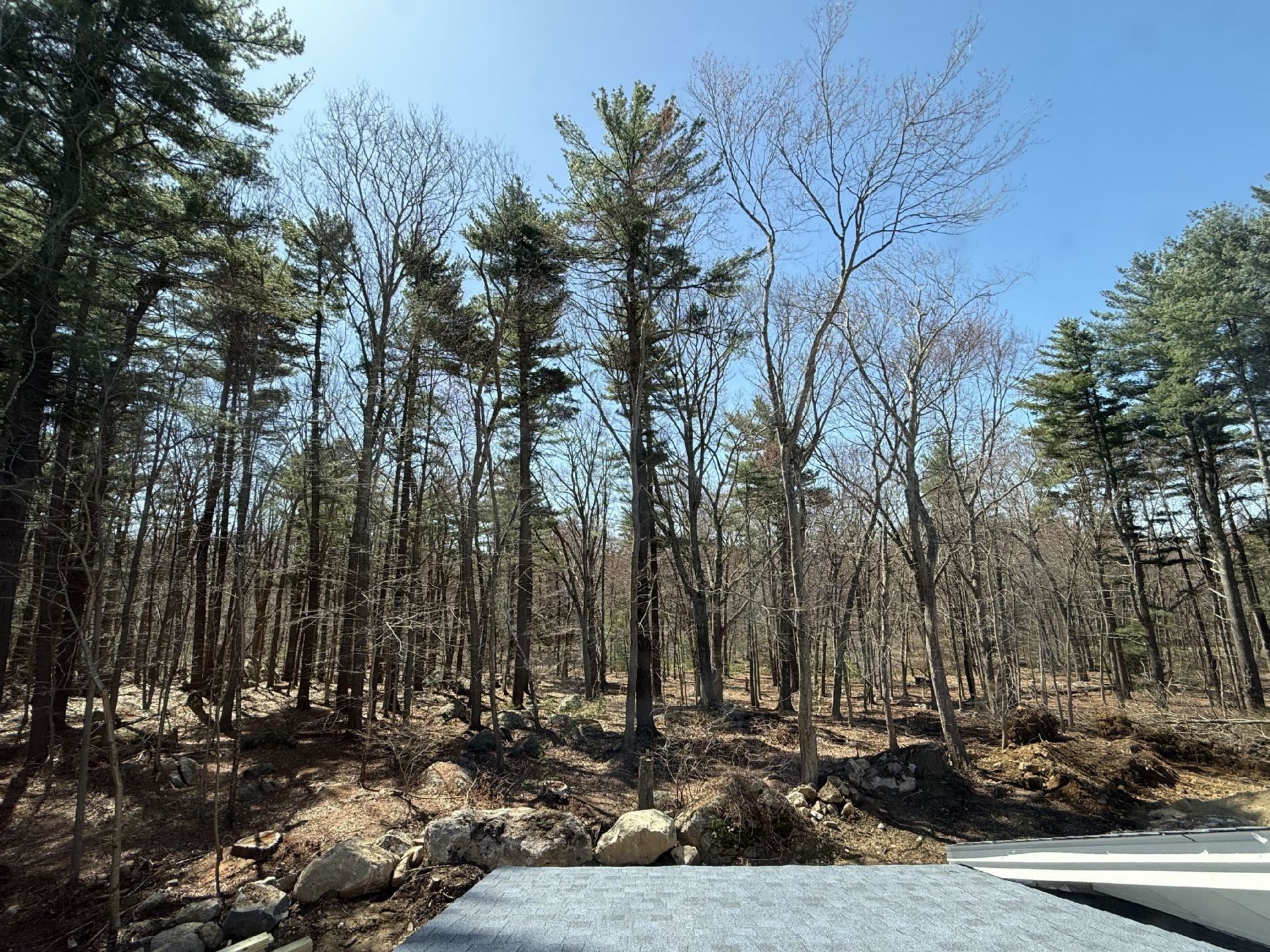 39 Mill Road