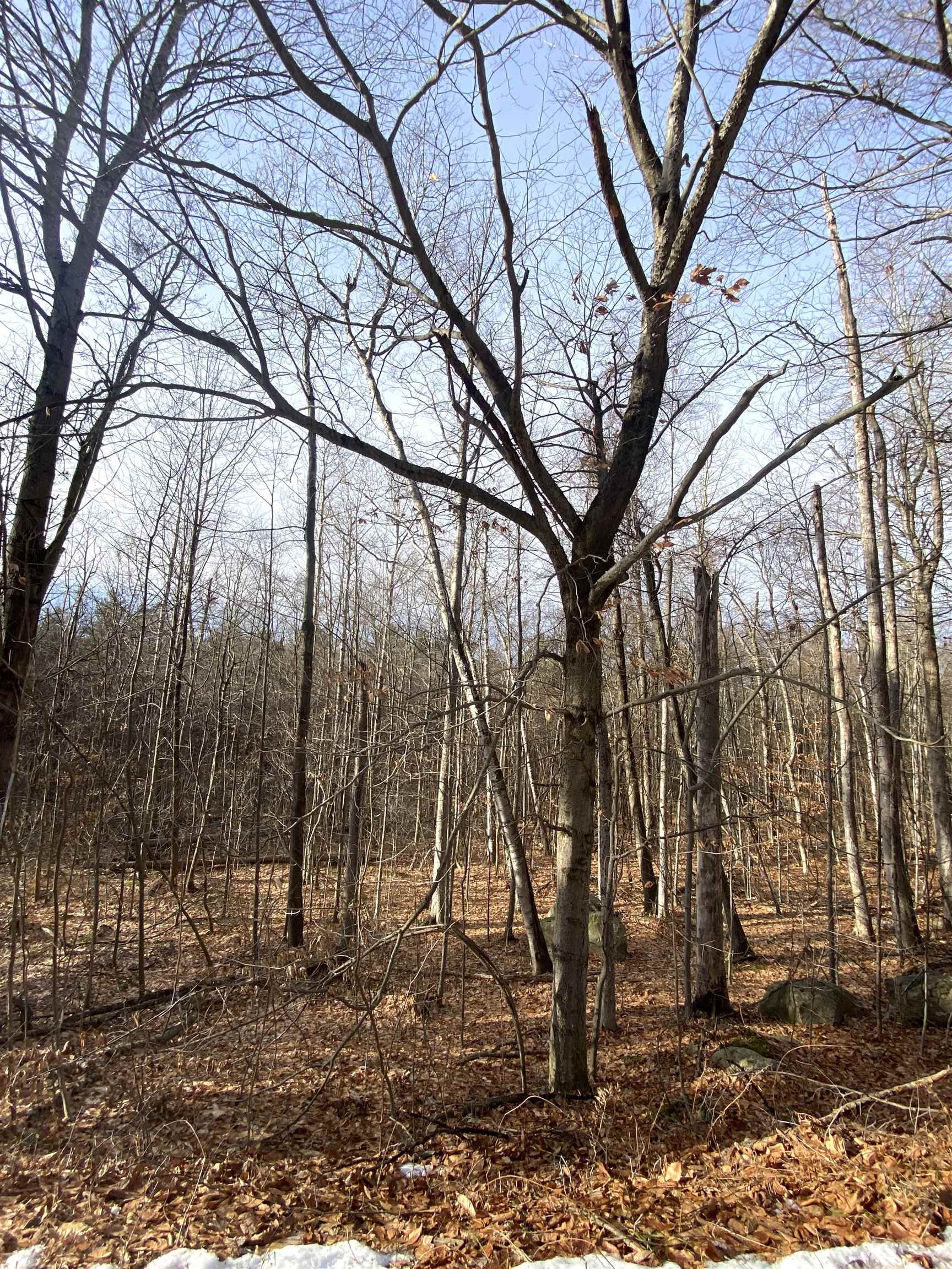 6 Fred Johnson Circle 17