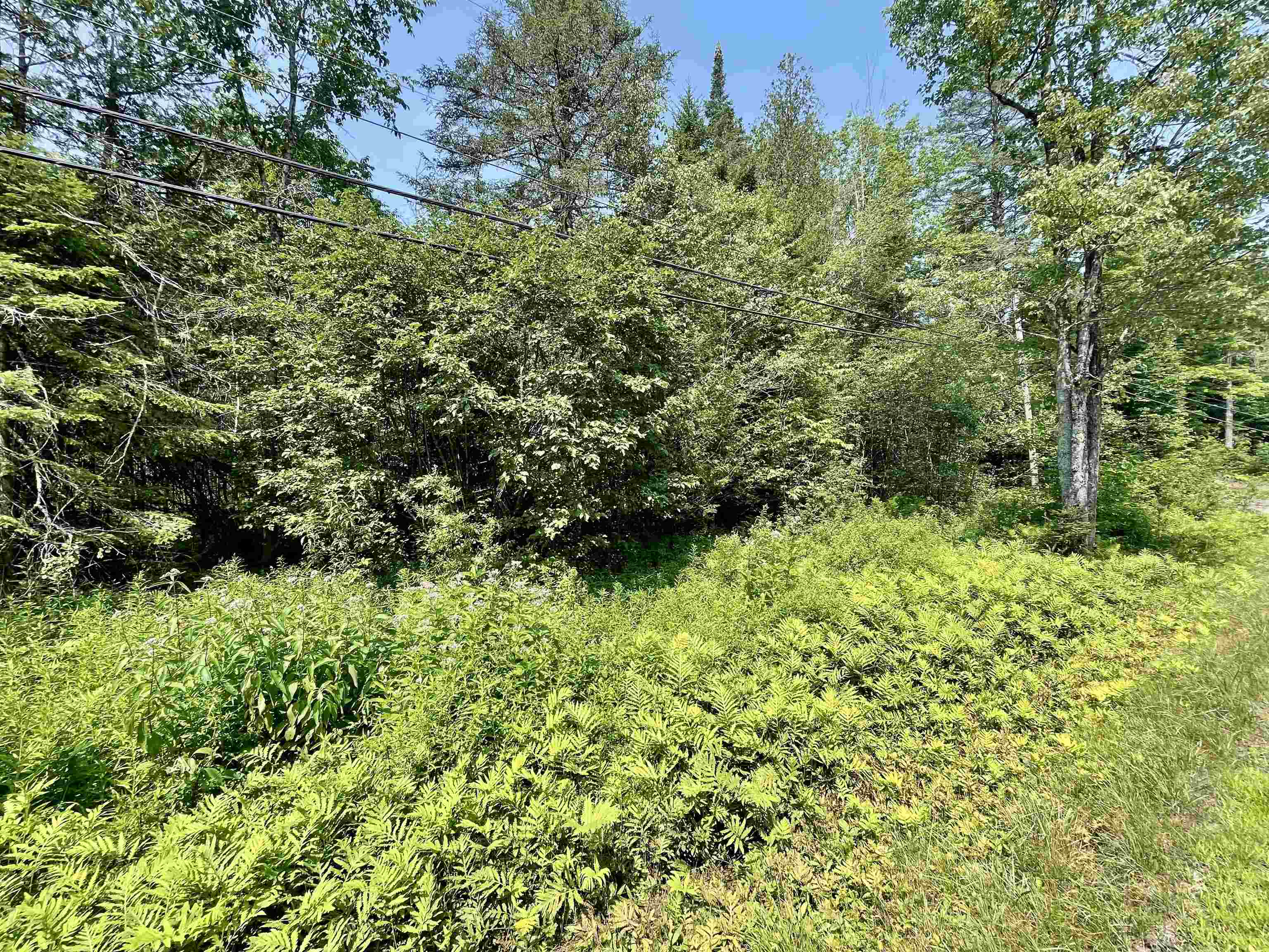 00 Peene Hill Road
