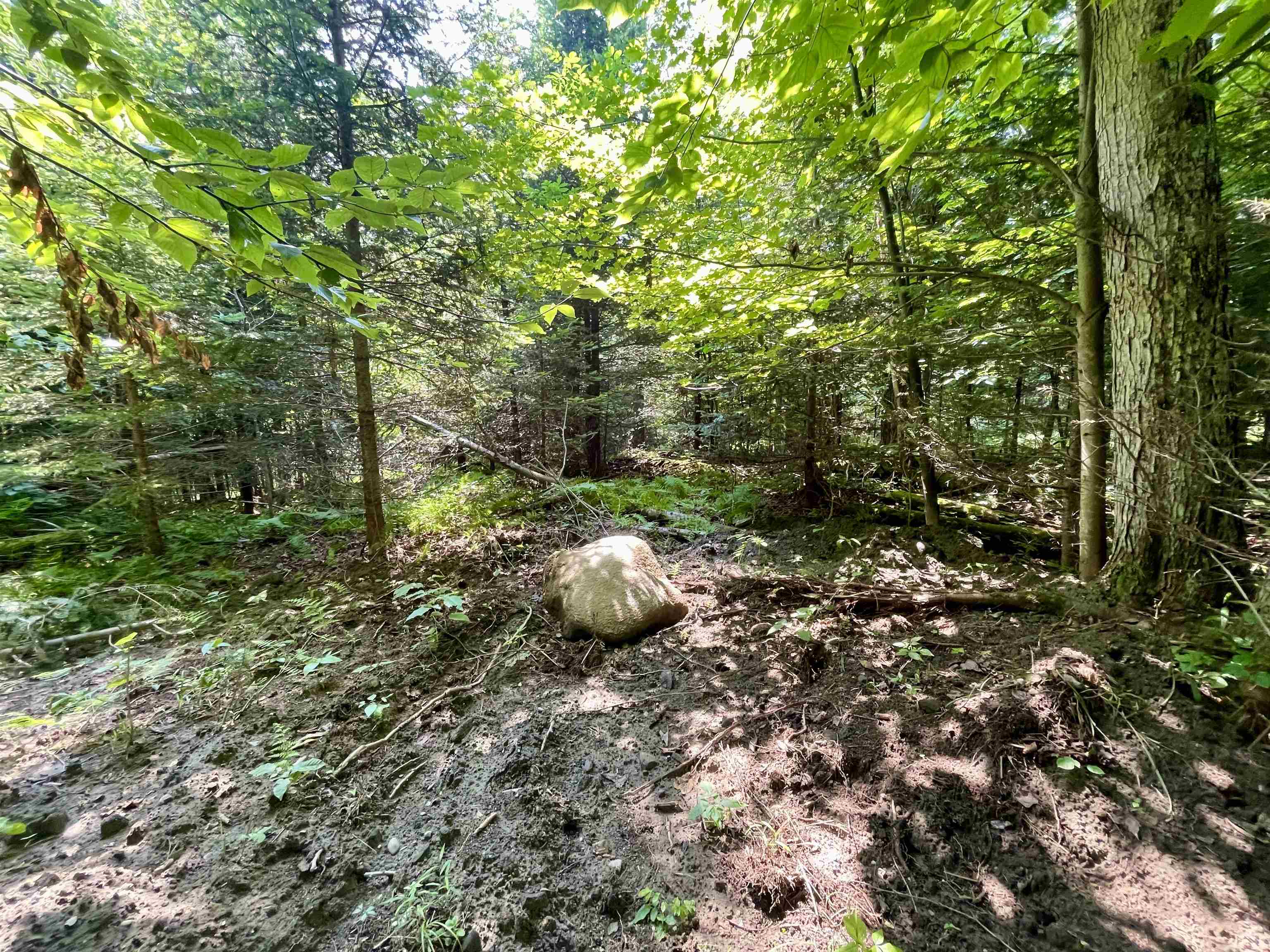 00 Peene Hill Road