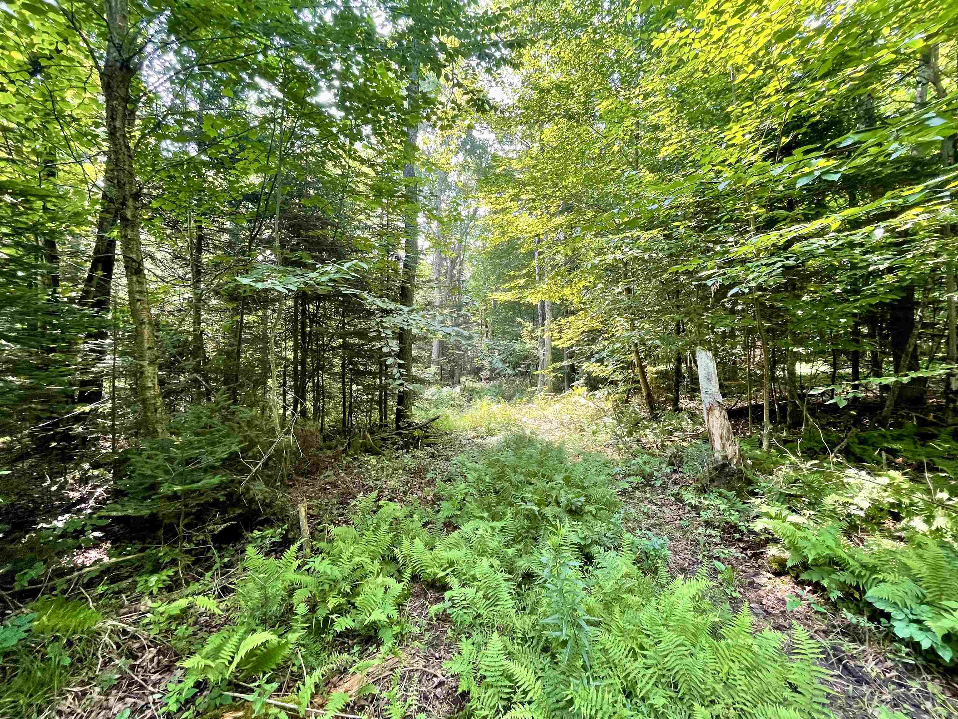 00 Peene Hill Road