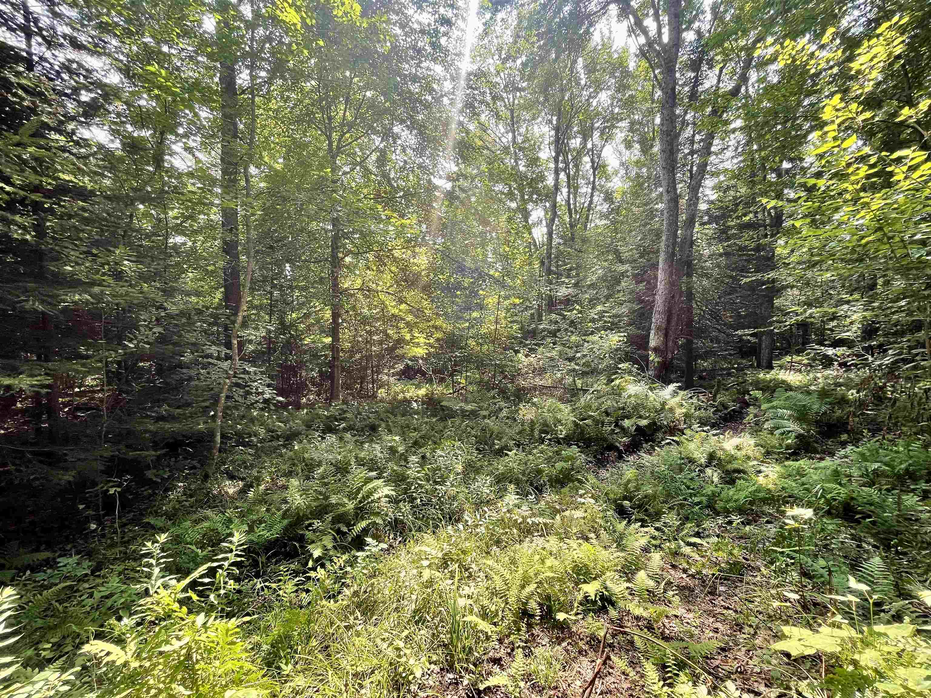 00 Peene Hill Road