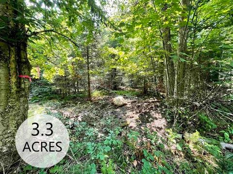 00 Peene Hill Road Westmore VT 05822