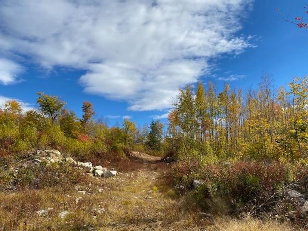 Photo of 00 Bryant Heights Road, Tamworth, NH 03886 (MLS # 5066461)