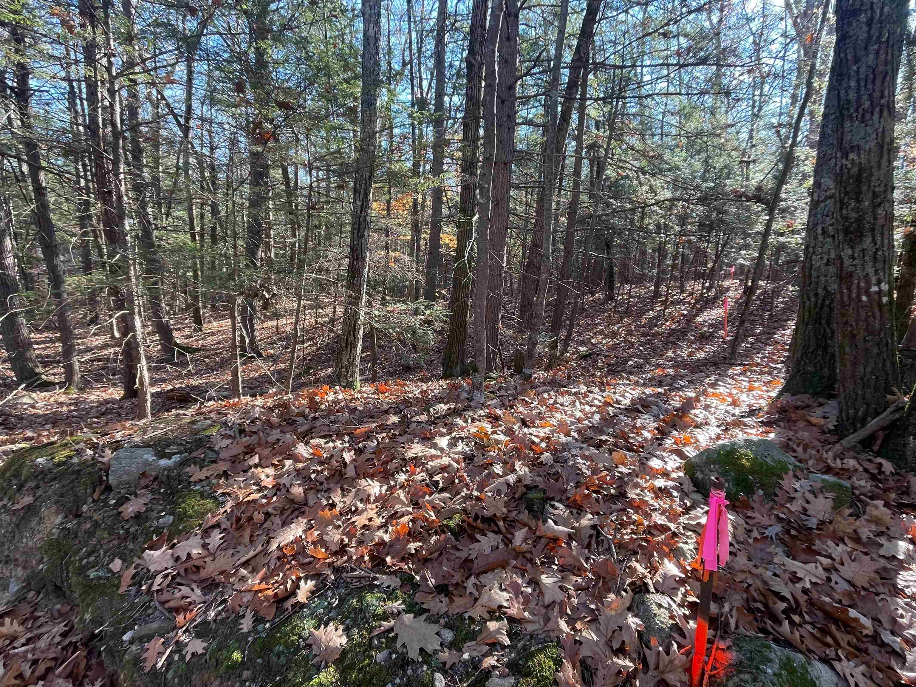 Nottingham, New Hampshire 03290, United States, ,Land,Active,94228