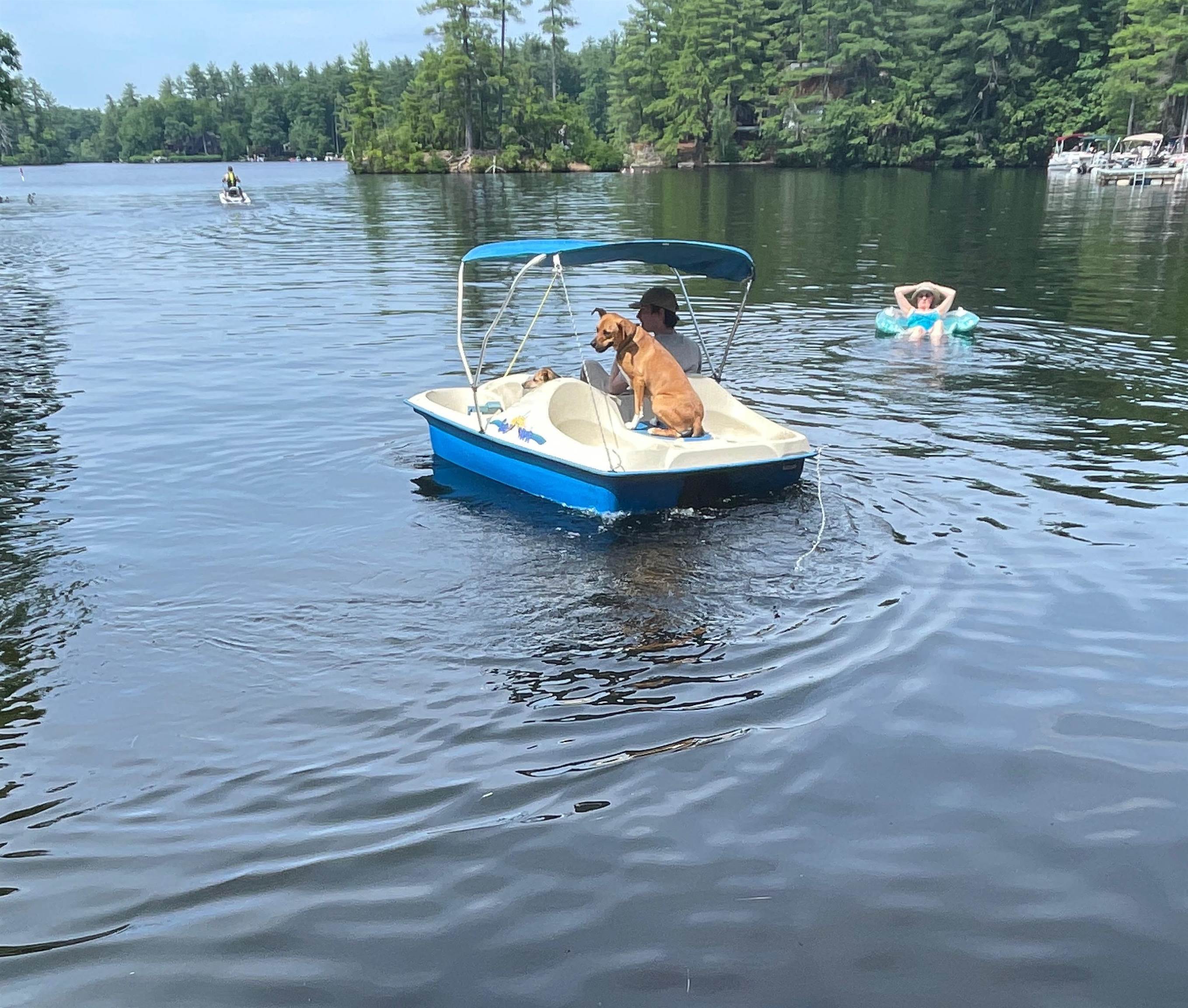 Nottingham, New Hampshire 03290, United States, ,Land,Active,94228