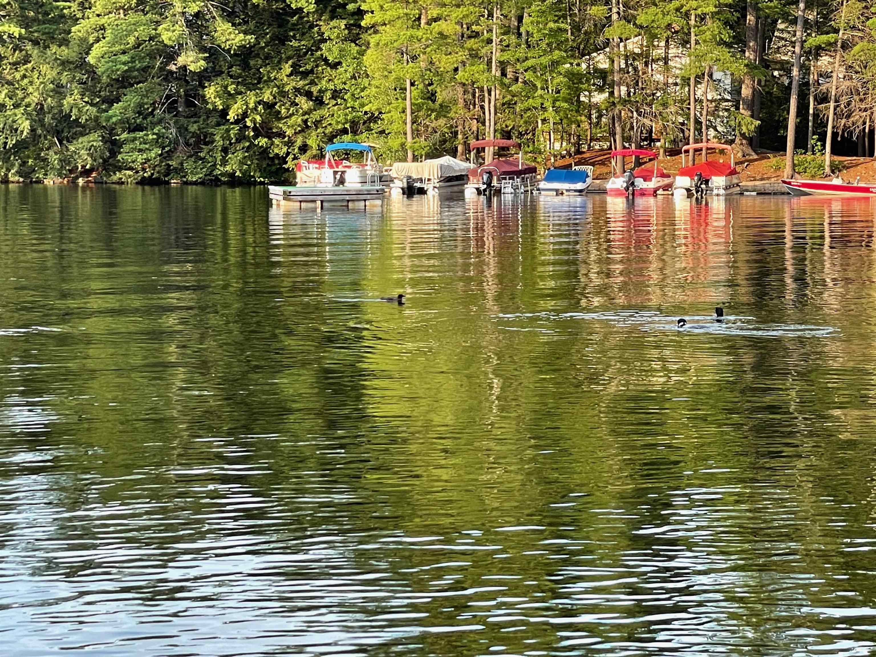 Nottingham, New Hampshire 03290, United States, ,Land,Active,94228