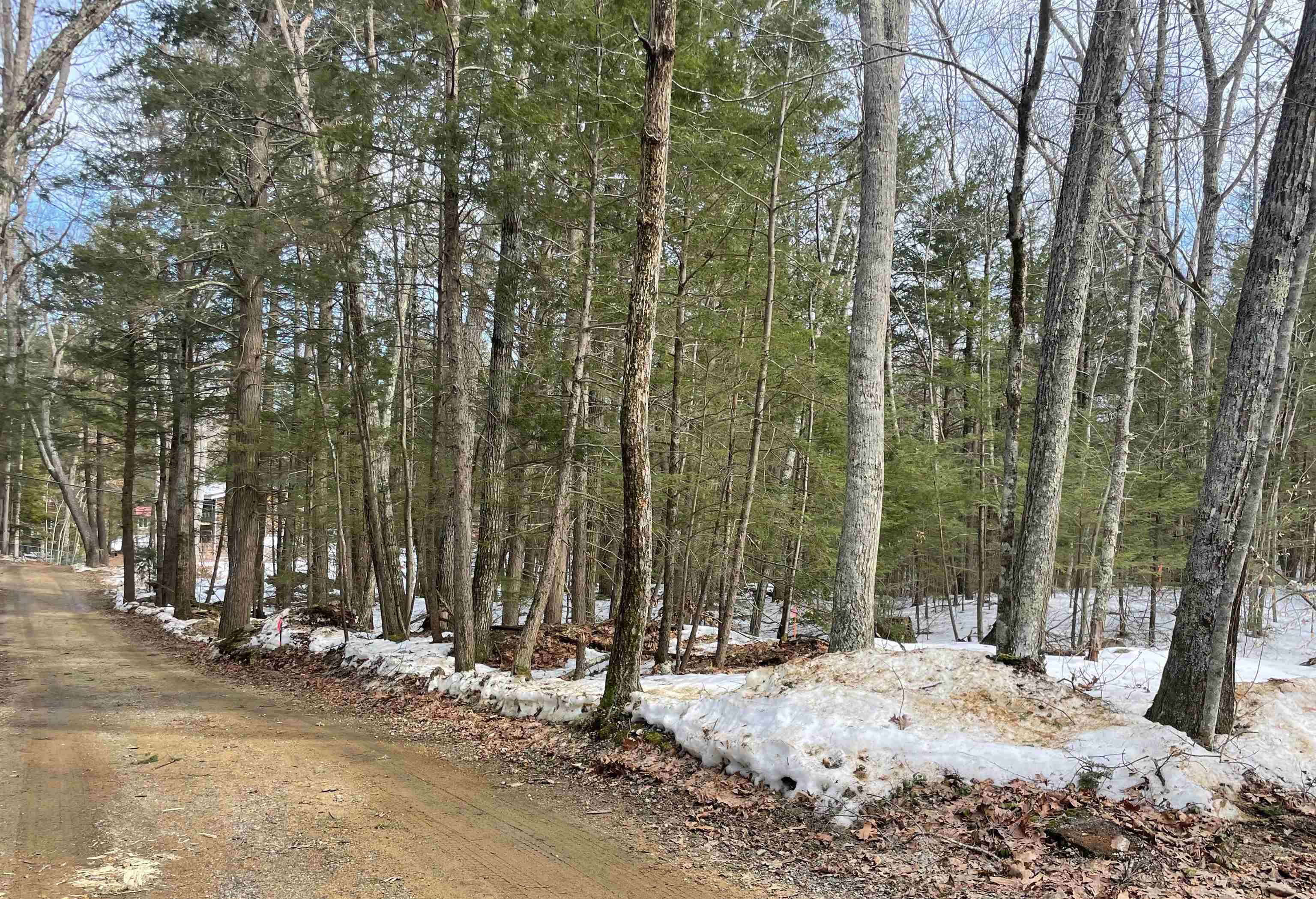 Nottingham, New Hampshire 03290, United States, ,Land,Active,94228