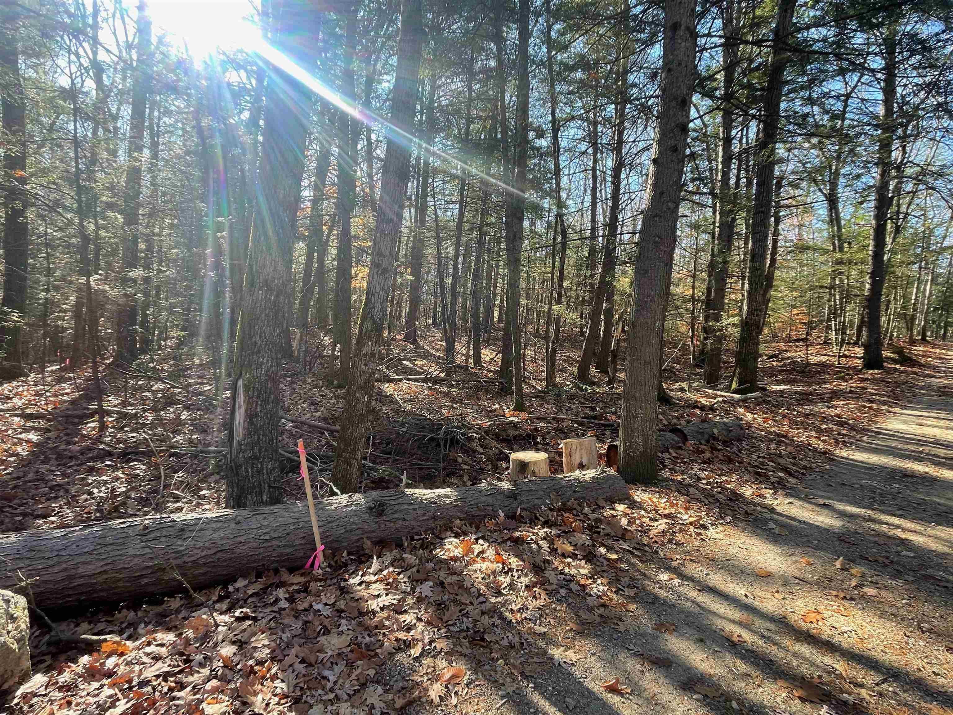 Nottingham, New Hampshire 03290, United States, ,Land,Active,94228