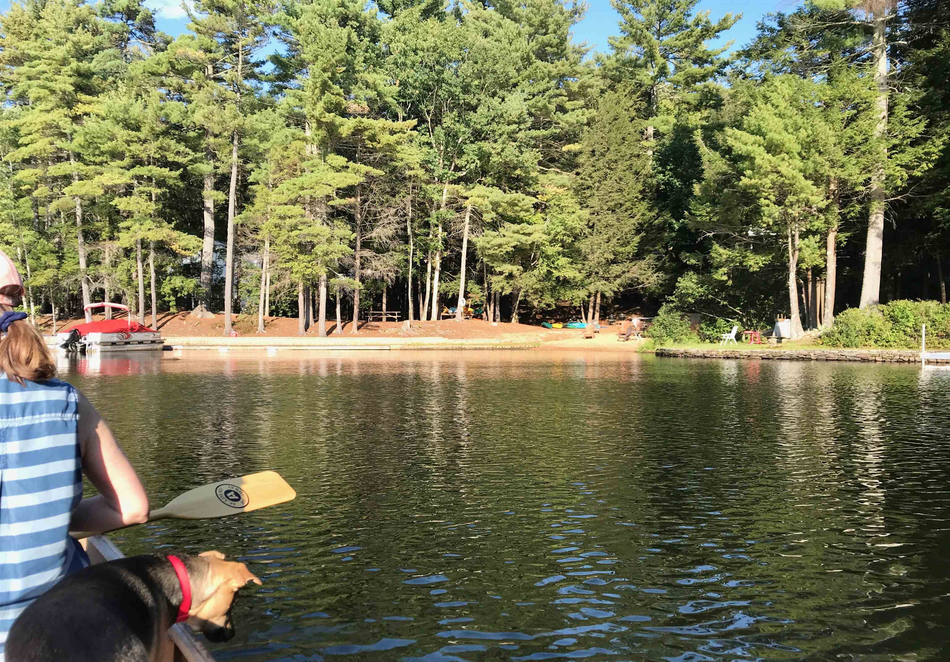 Nottingham, New Hampshire 03290, United States, ,Land,Active,94228