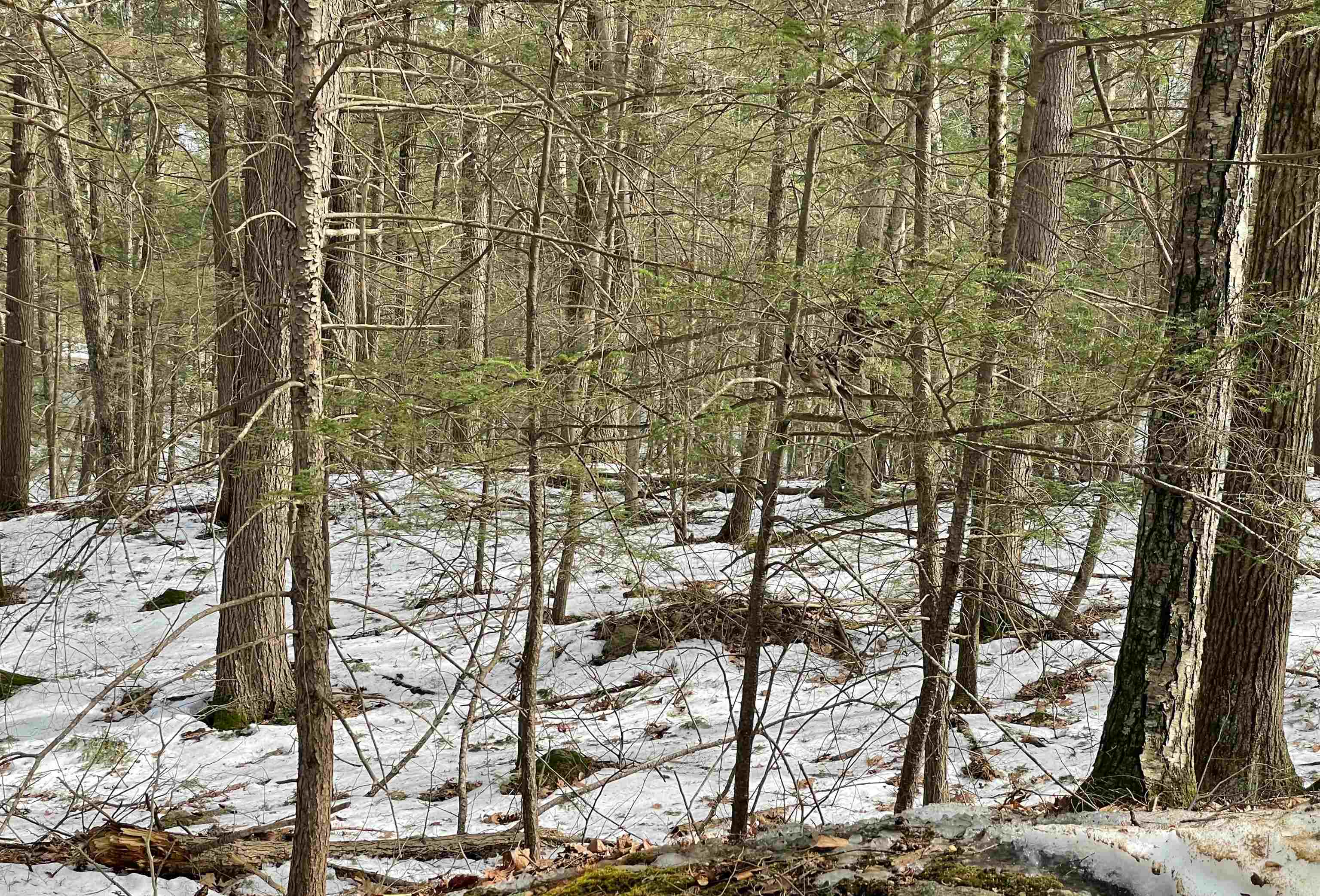 Nottingham, New Hampshire 03290, United States, ,Land,Active,94228