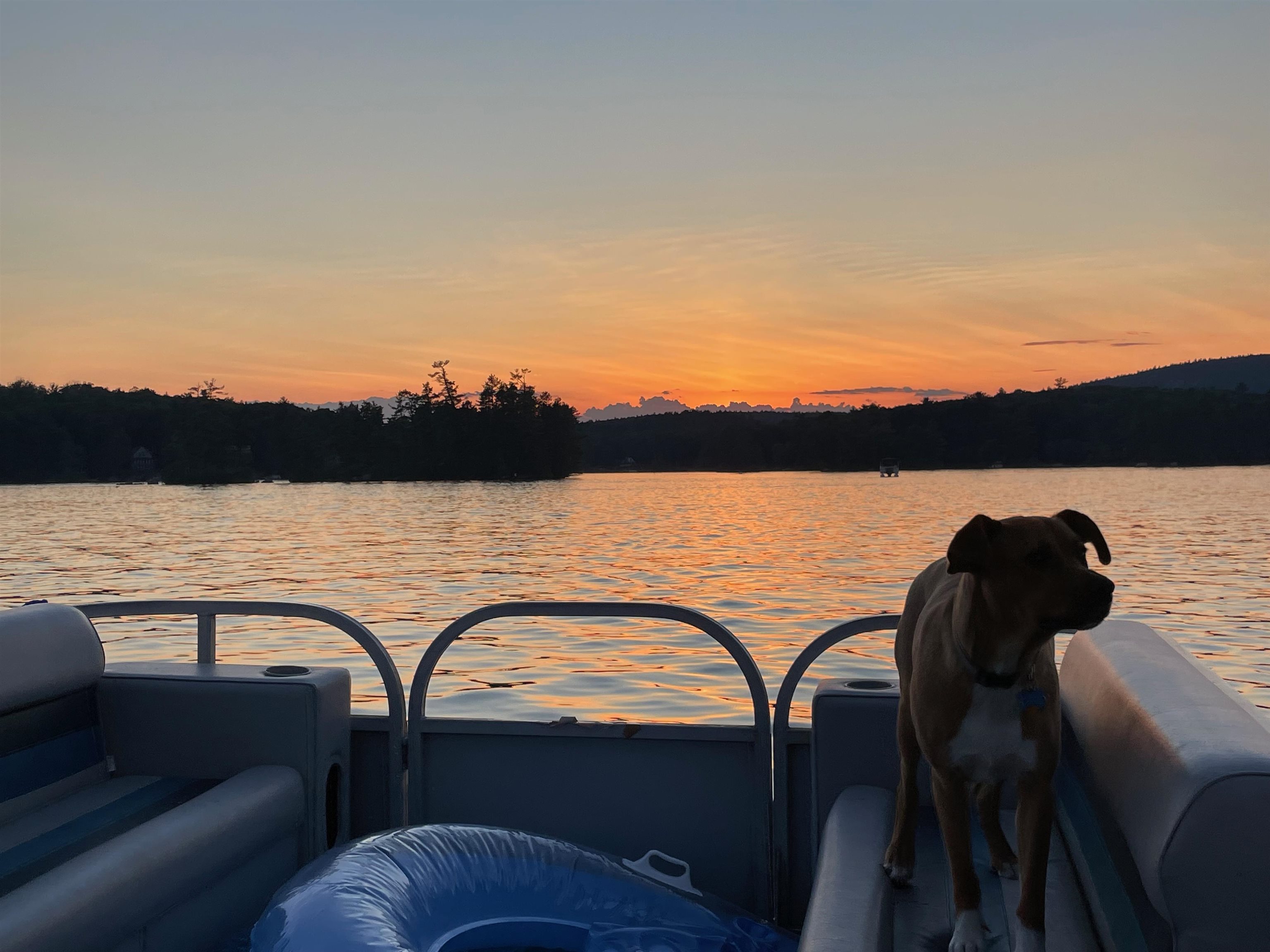 Nottingham, New Hampshire 03290, United States, ,Land,Active,94228