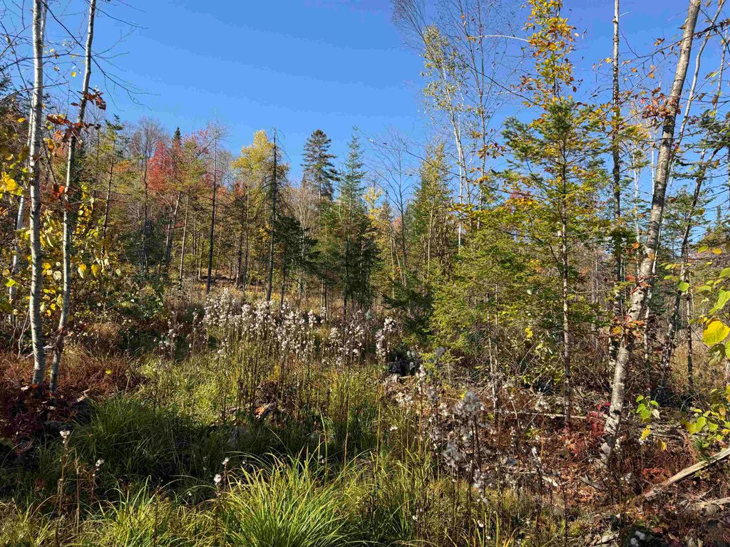 Photo of 26 Hartco Avenue, Lancaster, NH 03584 (MLS # 5065696)