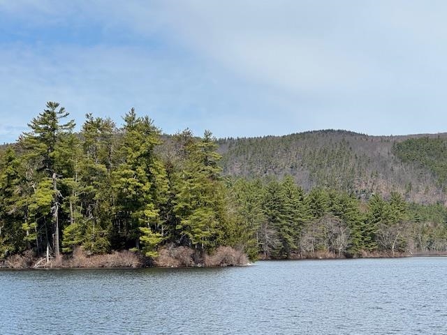 Lot 185 Nutter Drive Map 71, Lot 185