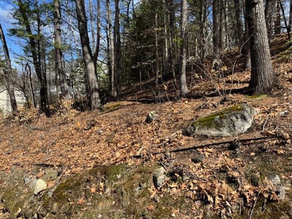 Photo of 185 Nutter Drive #Map 71, Lot 185, Alton, NH 03809 (MLS # 5080725)