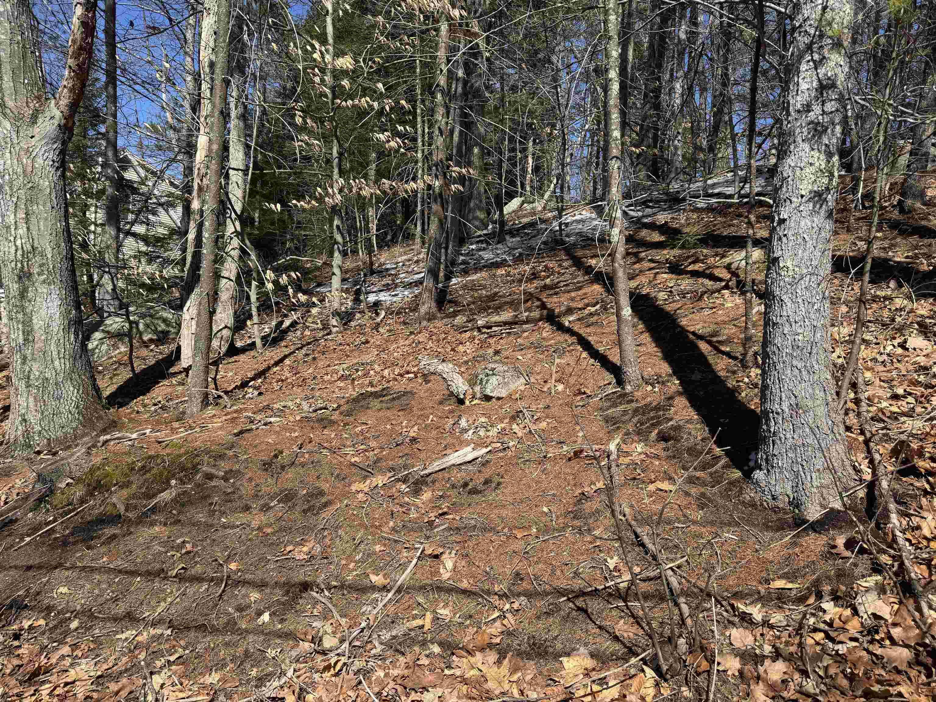 Lot 185 Nutter Drive Map 71, Lot 185