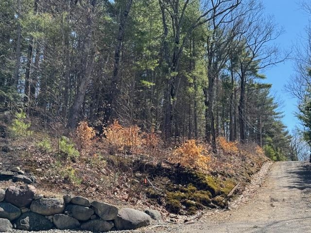 Lot 185 Nutter Drive Map 71, Lot 185