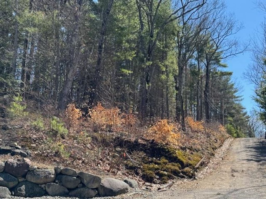 Photo of 185 Nutter Drive #Map 71, Lot 185, Alton, NH 03809 (MLS # 5080725)