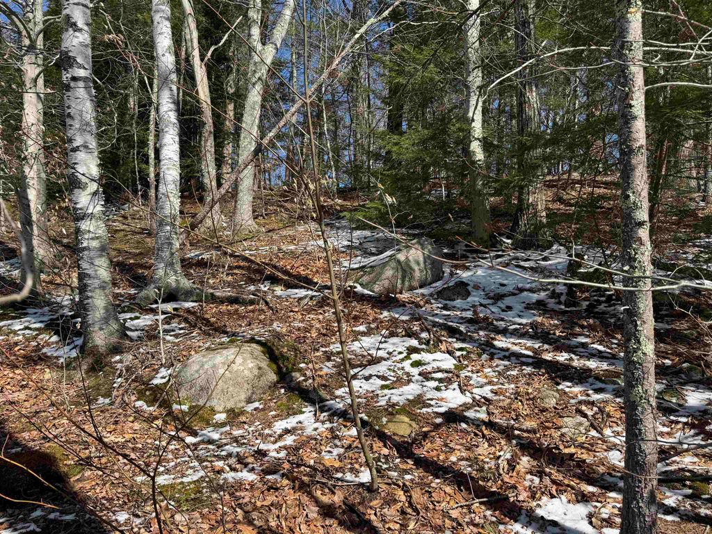 Photo of 185 Nutter Drive #Map 71, Lot 185, Alton, NH 03809 (MLS # 5080725)