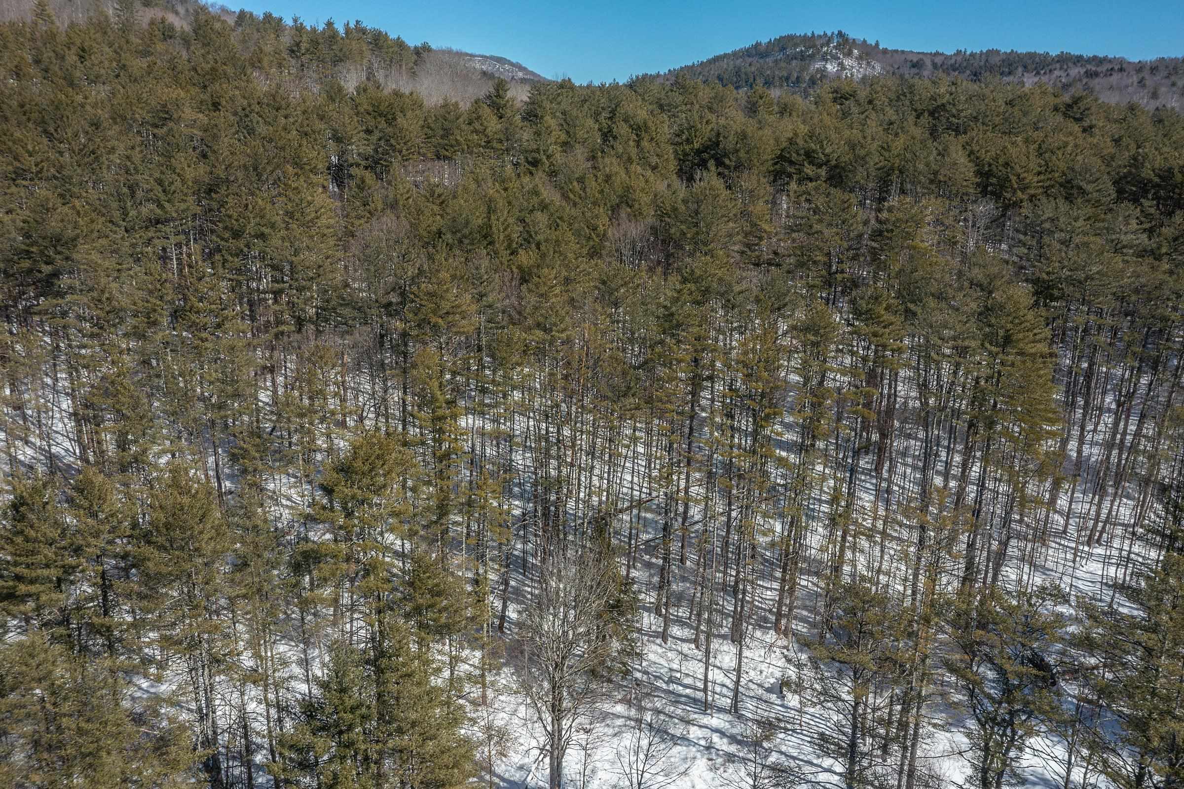 98 Gleason Farm Lane