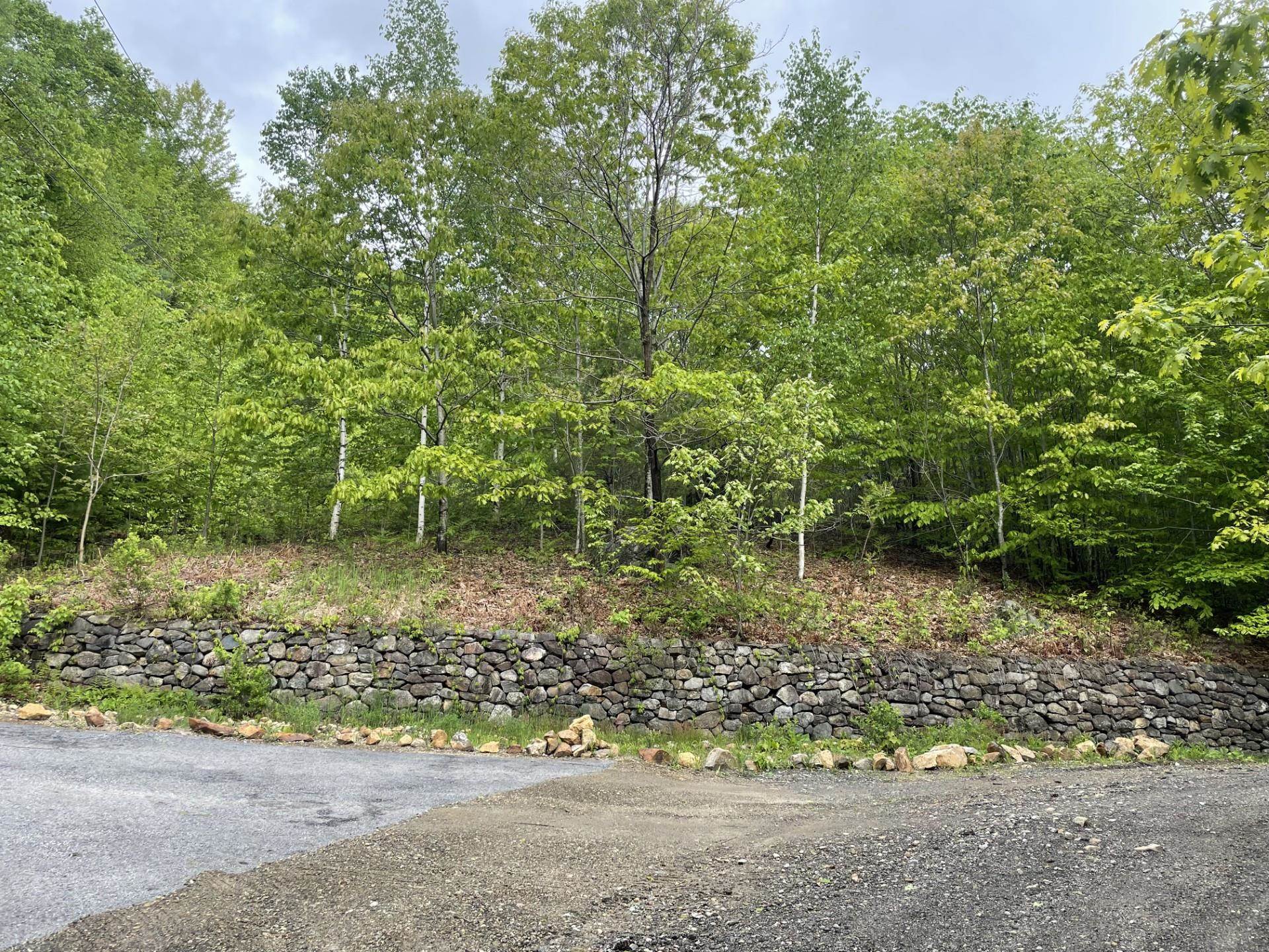 6 Buttonwood Road