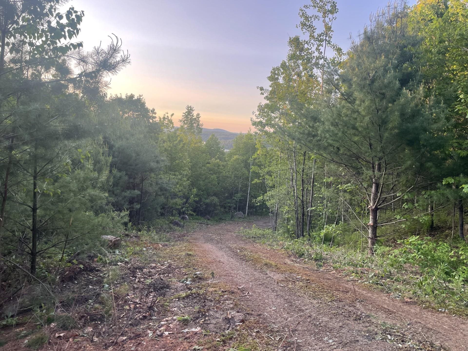 6 Buttonwood Road