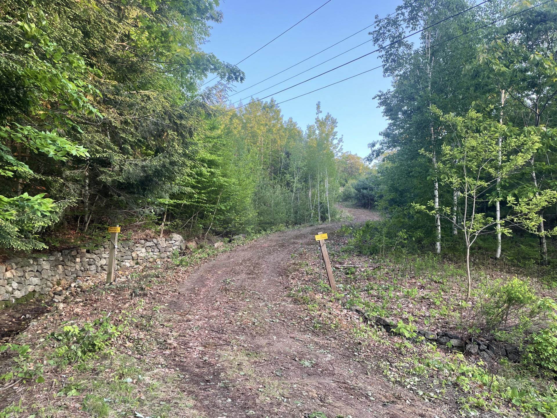 6 Buttonwood Road