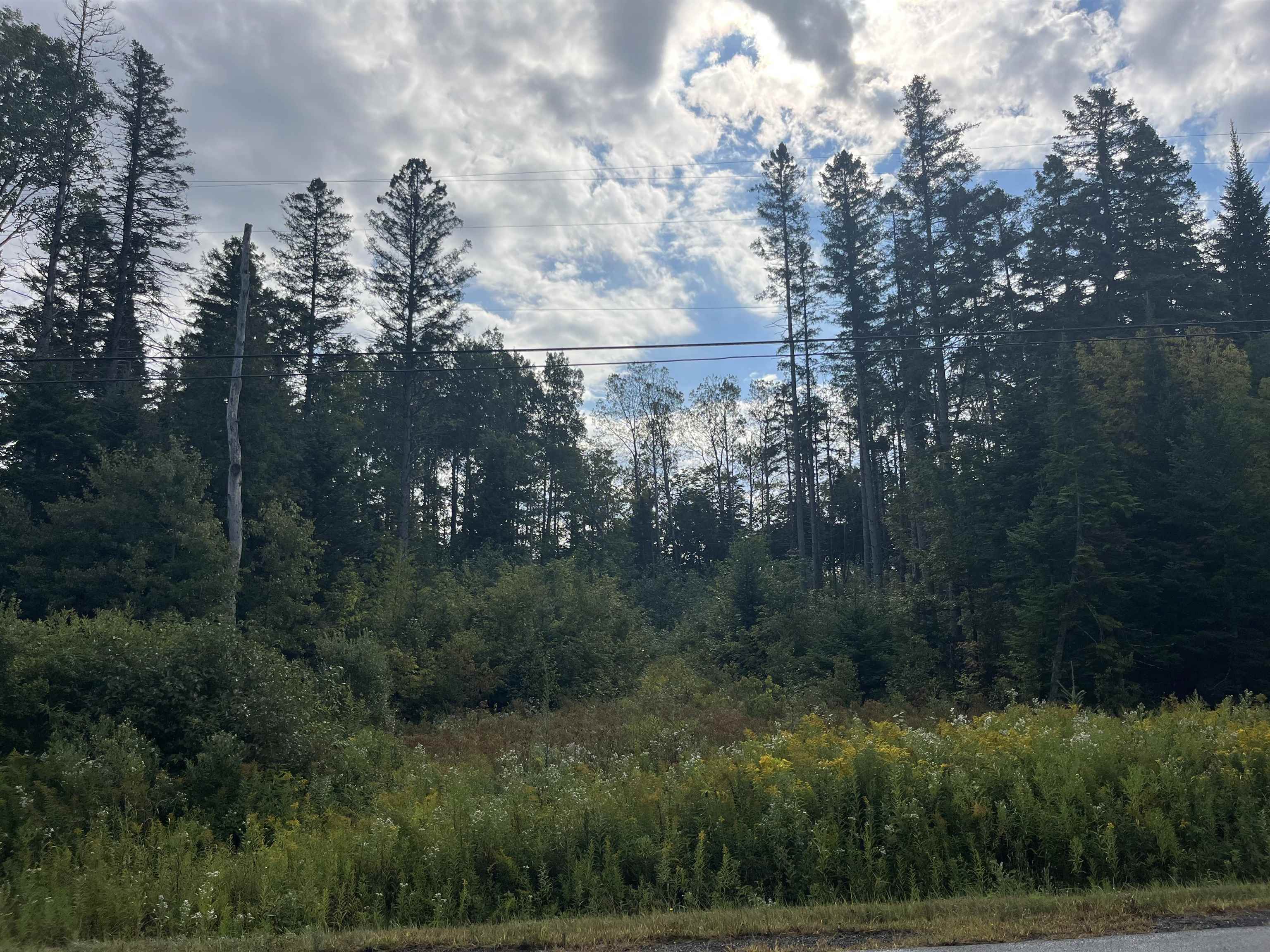 3450 Willoughby Lake