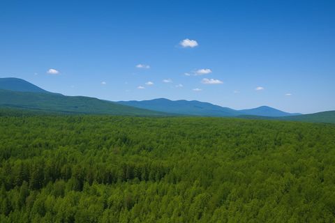 0 Mud Pond Road Dummer NH 03588