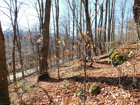 00 Highland Drive 1 Montgomery VT 05471