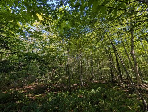 00 Highland Drive 1 Montgomery VT 05471