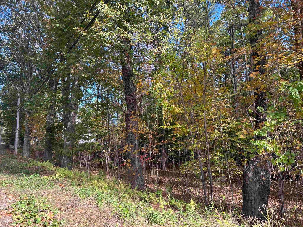Photo of 0 Province Road, Gilmanton, NH 03237 (MLS # 5068495)