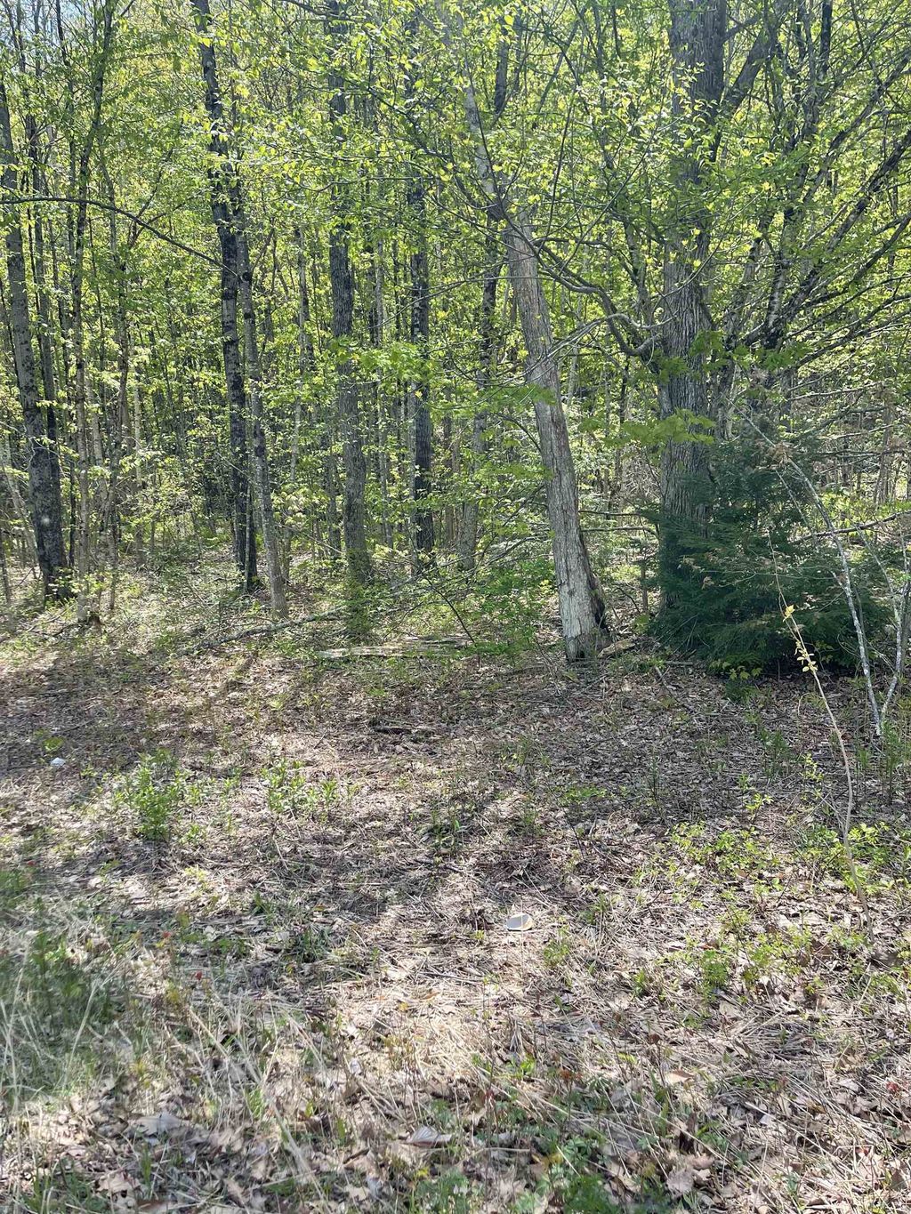 Photo of 0 Bradford Road, Henniker, NH 03242 (MLS # 5040262)