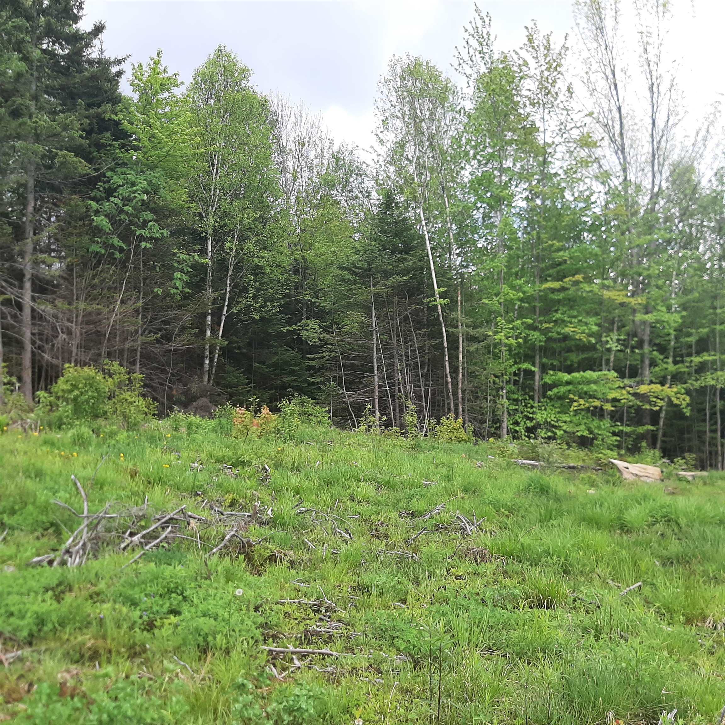 Lot 16 Oakes Road Lot 16