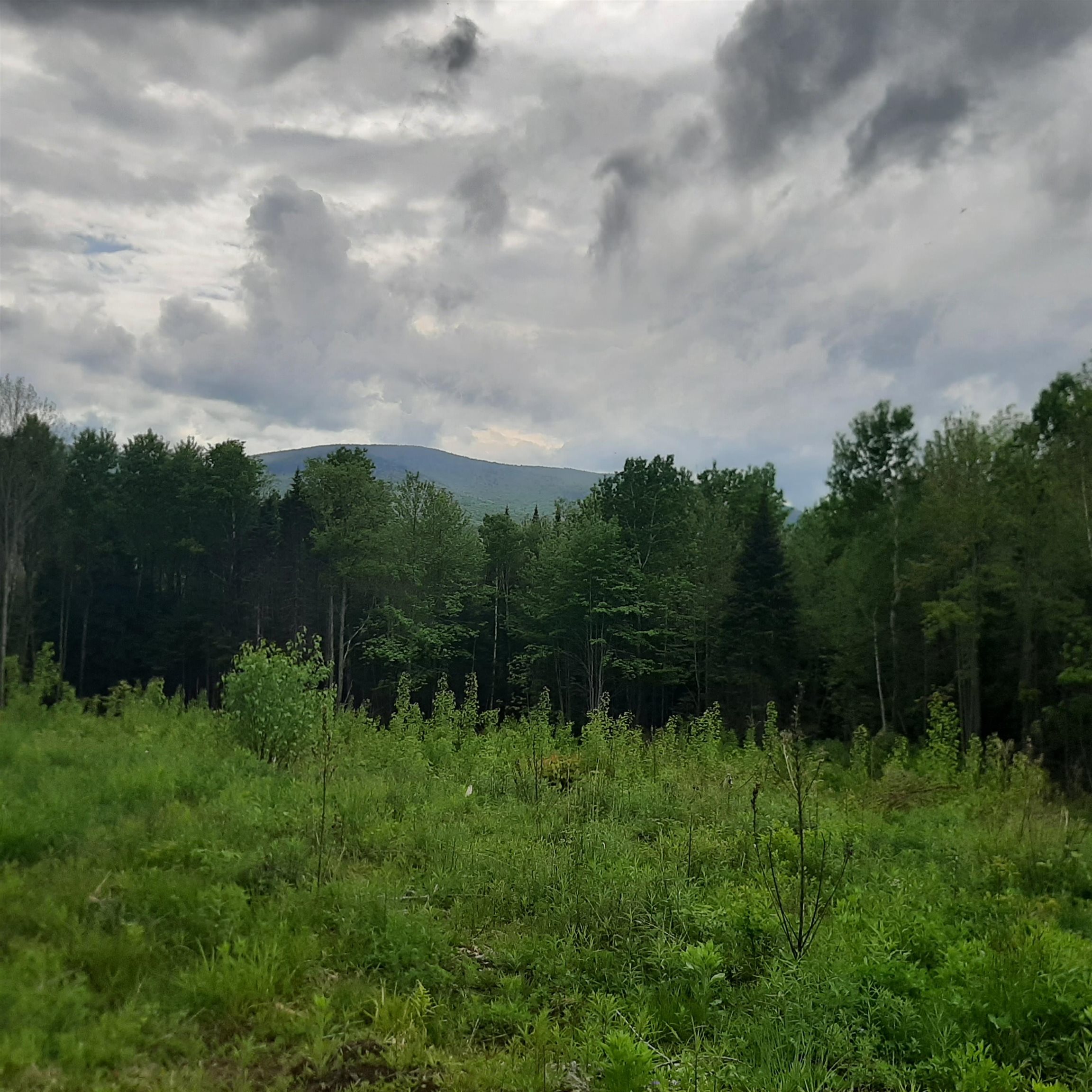 Lot 16 Oakes Road Lot 16